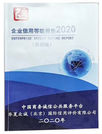 企业信用等级报告2020